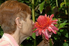 0206 Cairns Botanic Gardens